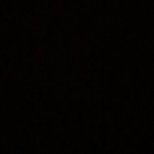 Meet your Posher, Ella